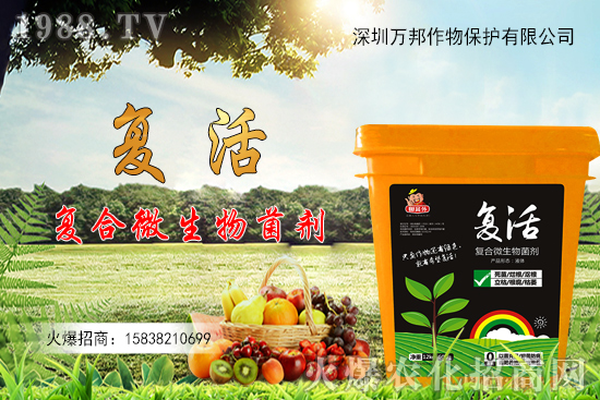 大棚油桃栽種后如何進(jìn)行管理，有什么方法要點？