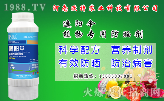 馬鈴薯可以和那些作物套種？馬鈴薯套種模式有什么好處？