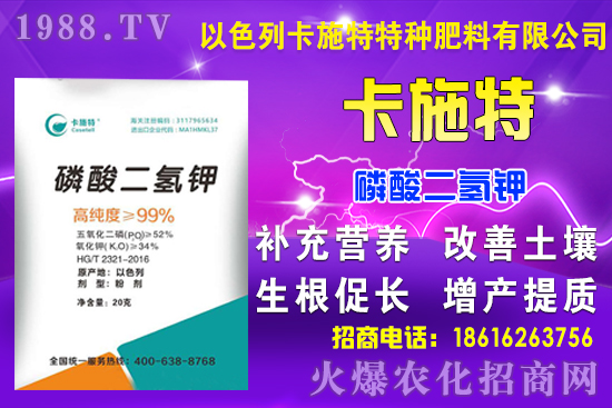 今日糧價(jià): 9月7日小麥?zhǔn)袌鲂星轭A(yù)測！