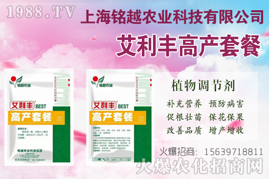 棉花吐絮是什么季節(jié)？常出現(xiàn)問題有哪些？棉花吐絮期管理要點！