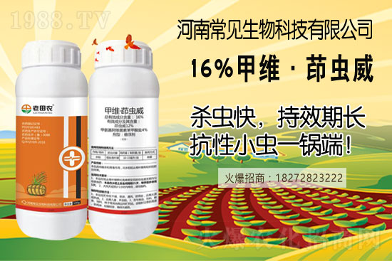 土豆幾月份種合適？（附如種植方法及田間管理）