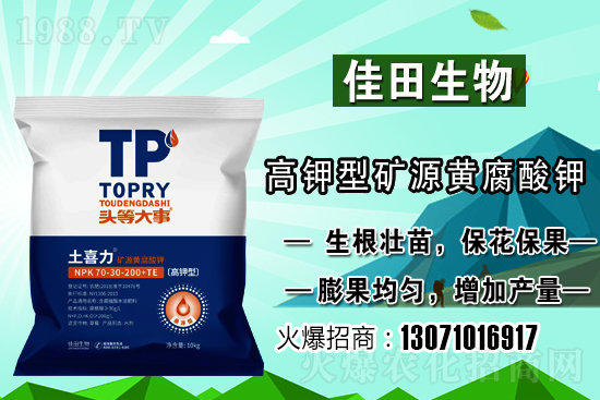 雪梨該怎樣種植？雪梨的種植時間和方法！