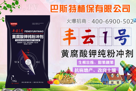 新品上市，定金翻倍！1000定金抵2000，超值優(yōu)惠，限時(shí)搶定...