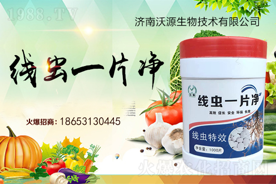 根結(jié)線蟲難防治，專治線蟲“線蟲一片凈”