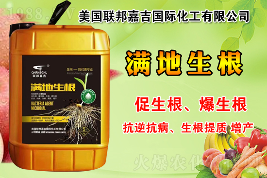 聯(lián)邦嘉吉怎么樣，聯(lián)邦嘉吉有哪些特色？公司暢銷產(chǎn)品有哪些？