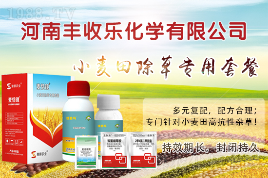 小麥田怎樣除草更？該怎么選用除草劑？