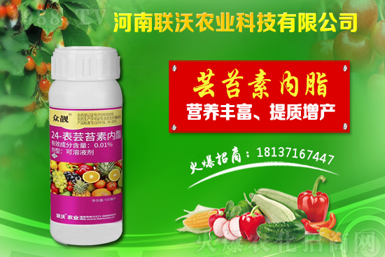 百部適合什么地方種植？百部種植前景及種植技術(shù)！
