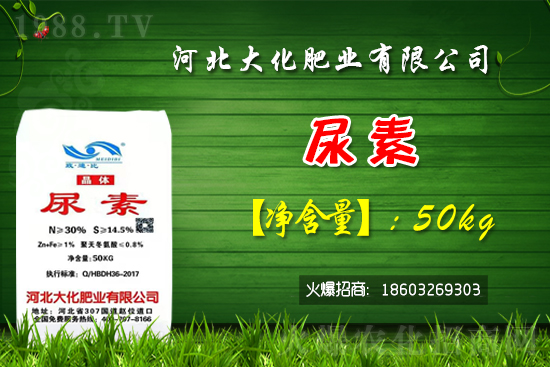 紅香蜜葡萄苗多少錢一棵？種植前景如何？