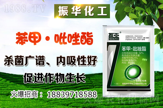 柴胡該怎么種植？柴胡種植方法及環(huán)境要求！