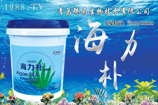 雪桃苗價(jià)格多少錢(qián)一棵？2021年種植雪桃能賺錢(qián)嗎？
