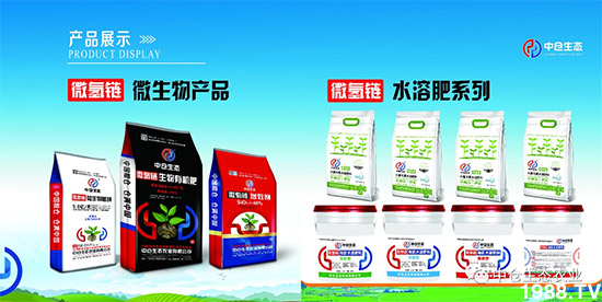 “菜無味、瓜不甜、果不香”是化肥惹的禍？