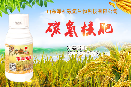 碳?xì)浜朔适鞘裁捶?？為什么效果這么好？