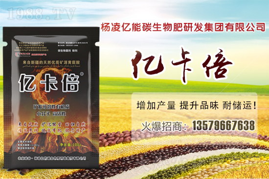 菠蘿蜜產(chǎn)地在我國哪些省份？菠蘿蜜有哪些常見品種？