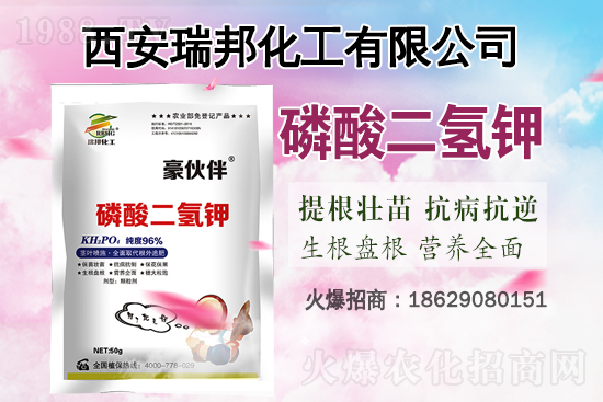 漲了！漲了！鉀肥價格又漲了！近期鉀肥價格行情走勢（7月16日）