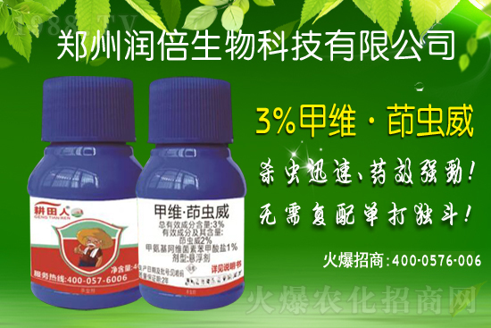 8.4億畝次！玉米中后期病蟲(chóng)害預(yù)計(jì)偏重發(fā)生