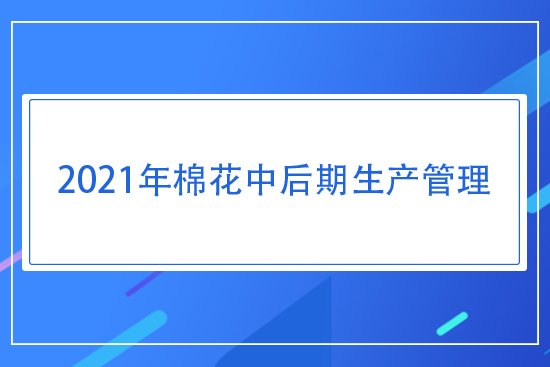 2021年棉花中后期生產管理指導意見