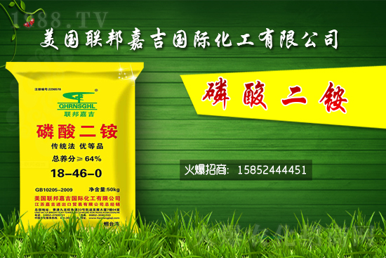 二銨價格堅挺!7月24日國內(nèi)二銨價格行情