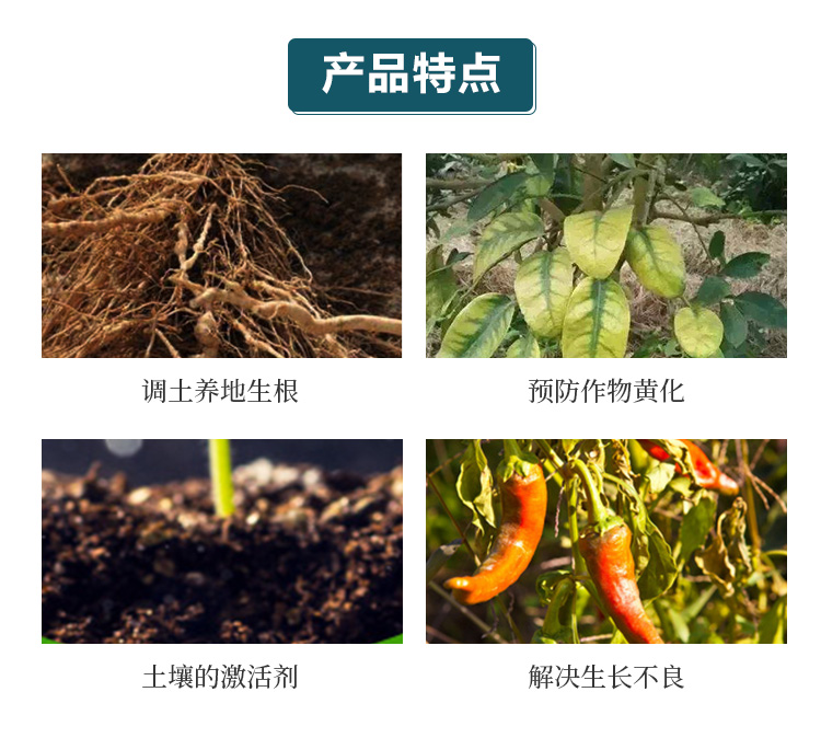 青島矯馬生物技術(shù)有限公司畫冊_03
