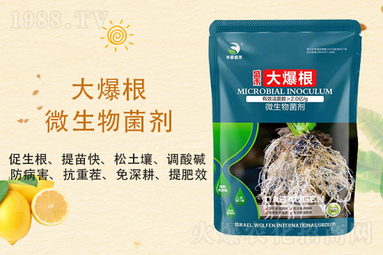 二銨價(jià)格持穩(wěn)，2021年9月3日磷銨價(jià)格行情分析