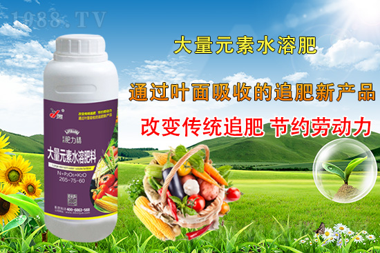 作物落花落果、座果低不用急！激發(fā)潛能，促花座果的秘訣在這！