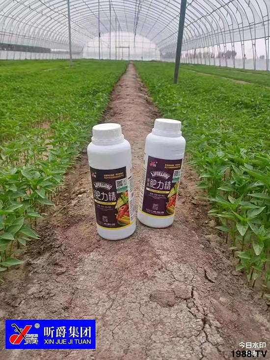 作物落花落果、座果低不用急！激發(fā)潛能，促花座果的秘訣在這！