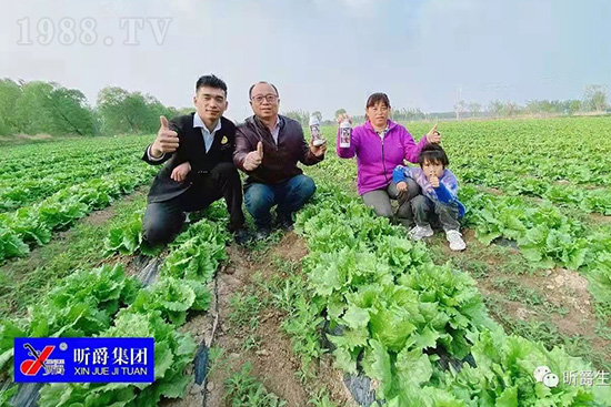 作物落花落果、座果低不用急！激發(fā)潛能，促花座果的秘訣在這！