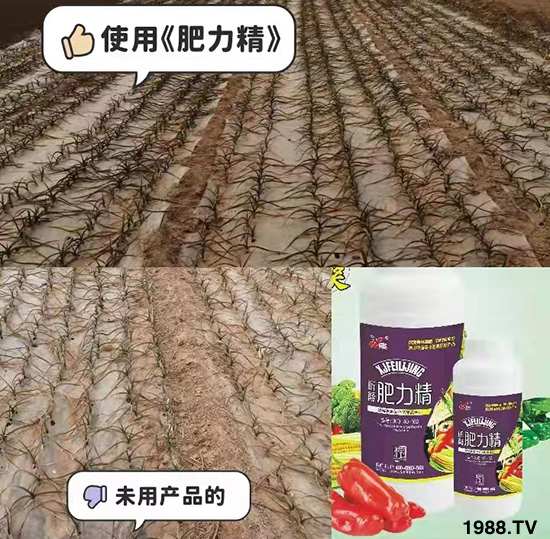 作物落花落果、座果低不用急！激發(fā)潛能，促花座果的秘訣在這！