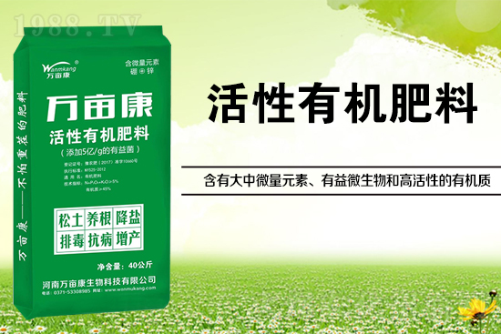 大豆高產(chǎn)施什么肥？如何施肥能增效？