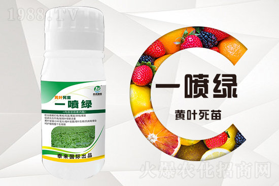 大棚蔬菜育苗為什么容易死苗？怎么解決？