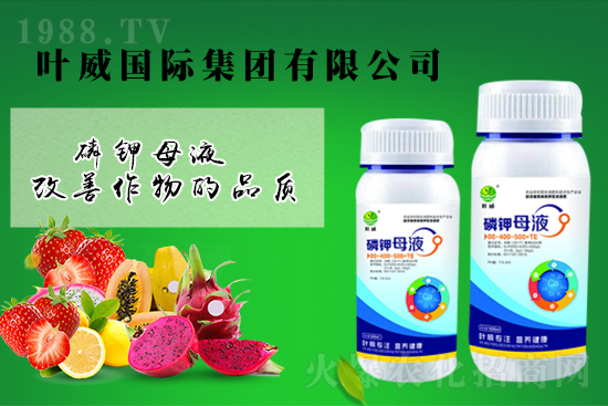 鉀肥價(jià)格回暖？4月5日鉀肥價(jià)格行情