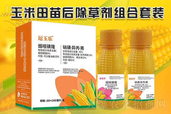 玉米除草效果差，什么原因？玉米除草劑怎么選？