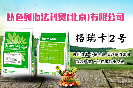 果蔬膨果增產(chǎn)的秘密！杜絕裂果空果，以色列原裝進(jìn)口，配方萬里挑一！