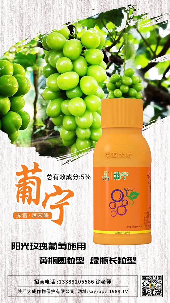 葡萄如何保果座果，減少大小粒？這些管理相當(dāng)重要！