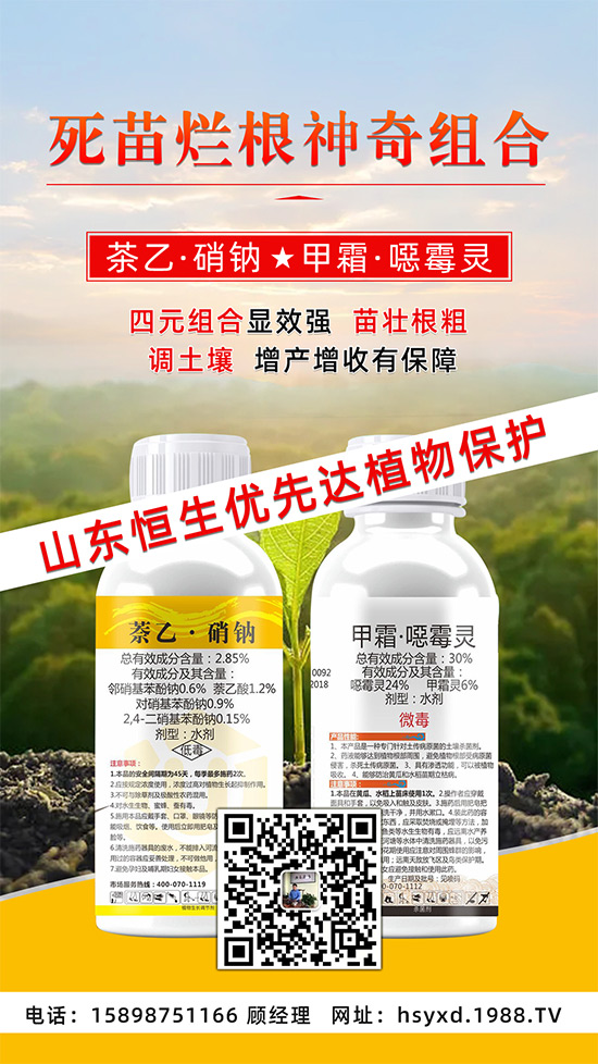 根腐、立枯、死苗爛根導致作物的“元兇”!這樣防治輕松搞定!
