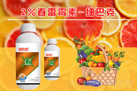 番茄潰瘍病怎么辦？聽聽專家怎么說！