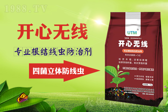 根結線蟲危害大？線蟲防治意見匯總！