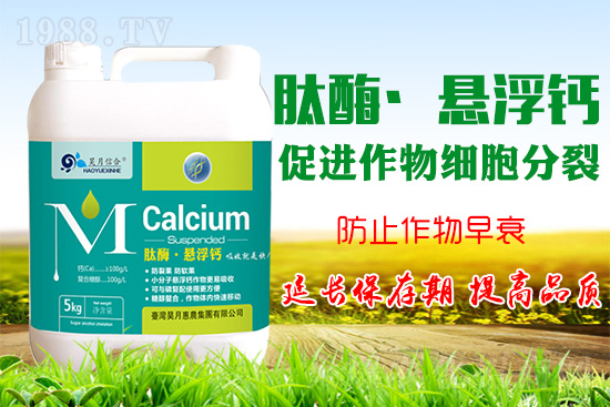 蘋果樹花后補鈣很關鍵！蘋果補鈣的四個誤區(qū)你知道嗎？