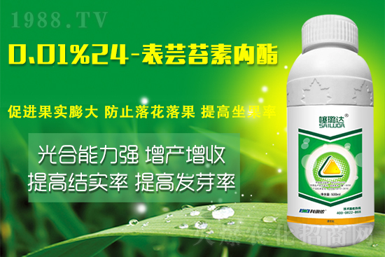 蕓苔素內(nèi)酯竟然有這么多作用！這樣搭配解決膨果增產(chǎn)難題！