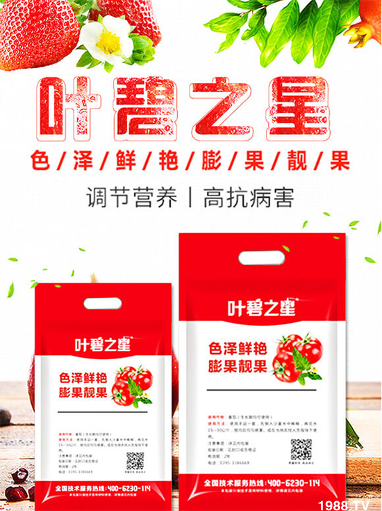 番茄開花少產(chǎn)量低怎么辦？牢記這幾點，番茄坐果不用愁！