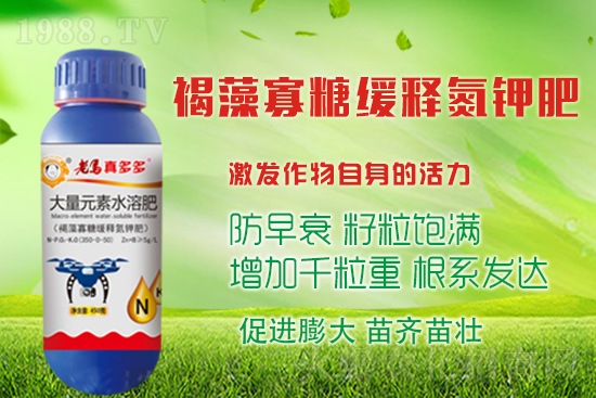 大蒜高產(chǎn)收益高，蒜頭膨大措施有哪些？如何施肥