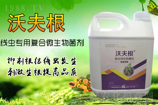 根結(jié)線蟲侵染作物根部？教你幾招，不反彈效果更!