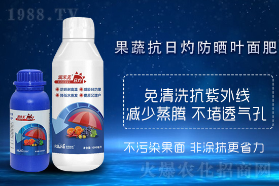 高溫來襲！日灼蓄勢待發(fā)，作物如何正確養(yǎng)護呢？