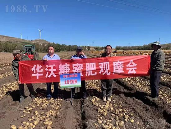這款糖蜜肥農(nóng)資圈瘋傳!原料天然,低成本高肥效開(kāi)創(chuàng)者!