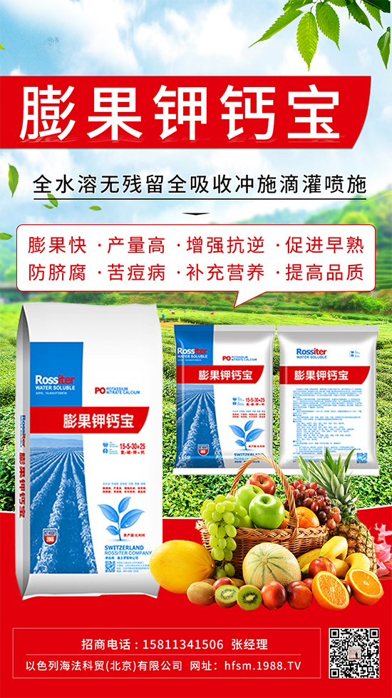 柑橘進(jìn)入膨大期，如何提升“顏值”？這個方案值得擁有！