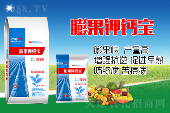 柑橘進(jìn)入膨大期，如何提升“顏值”？這個方案值得擁有！