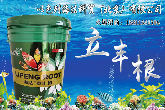 海藻肥生根效果怎么樣？比傳統(tǒng)肥料好在哪