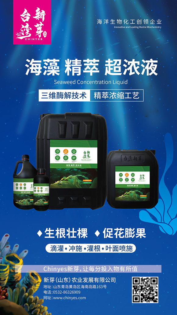 瓶裝海藻精萃超濃液-臺(tái)灣新芽4