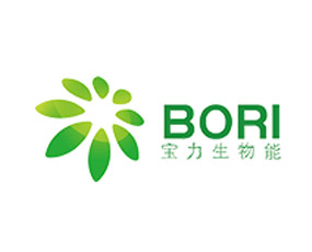 山東寶力生物質(zhì)能源股份有限公司