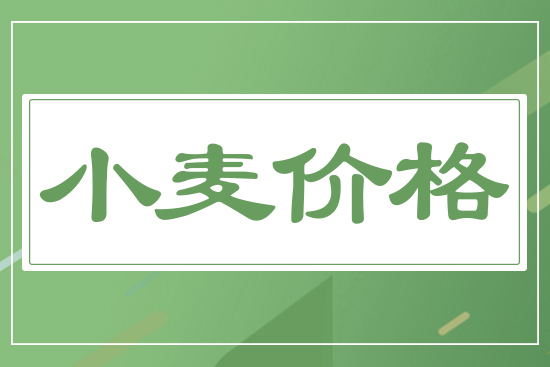 新麥開(kāi)秤價(jià)，一斤多少錢(qián)？5月19日小麥價(jià)格行情