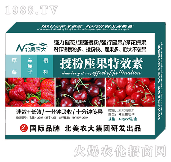草莓、車?yán)遄印烟沂诜圩匦?北美農(nóng)大